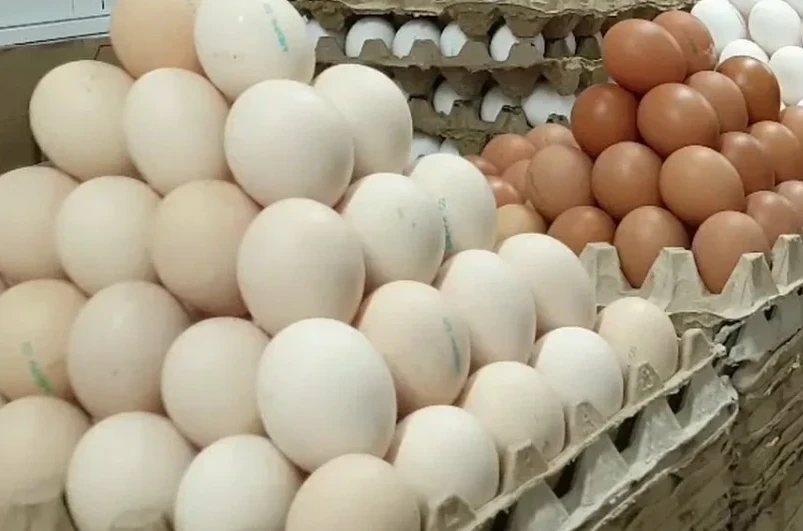 Almaty bazarynan zańsyz ákelingen 13 myńnan astam jumyrtqa anyqtaldy