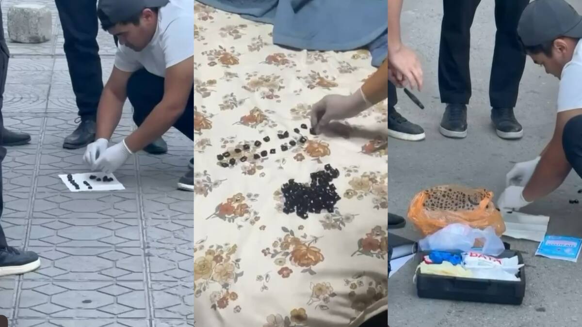 Tarazda shetel azamatynan iri kólemde esirtki tárkilendi